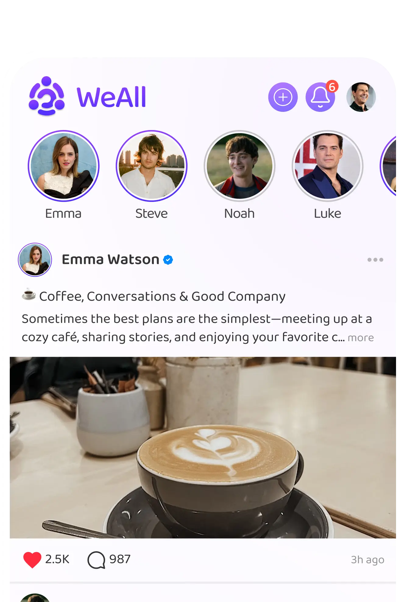 Feed & Stories